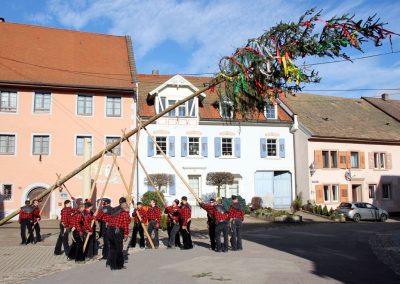 004-nz-hungrige-stuehlinger-narrenbaum-zaeche