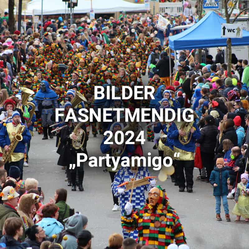 nz-stuehlingen-titelbild-bilder-fasnetmendig-2024